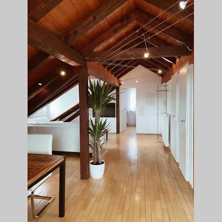*Dreilaendereck* Wifi+ Balkon+Garage Basel Mulhouse Apartment Maulburg Ngoại thất bức ảnh