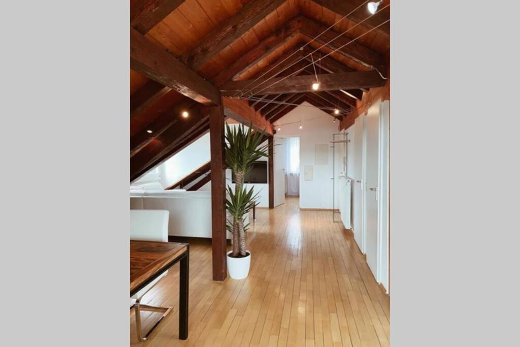 *Dreilaendereck* Wifi+ Balkon+Garage Basel Mulhouse Apartment Maulburg Ngoại thất bức ảnh