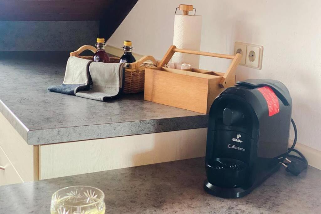 *Dreilaendereck* Wifi+ Balkon+Garage Basel Mulhouse Apartment Maulburg Ngoại thất bức ảnh