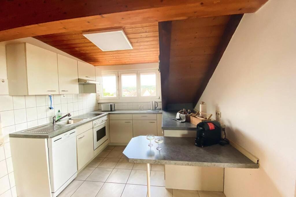 *Dreilaendereck* Wifi+ Balkon+Garage Basel Mulhouse Apartment Maulburg Ngoại thất bức ảnh