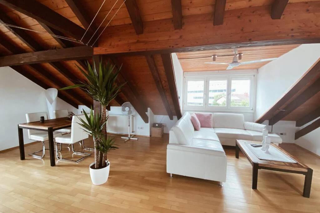 *Dreilaendereck* Wifi+ Balkon+Garage Basel Mulhouse Apartment Maulburg Ngoại thất bức ảnh