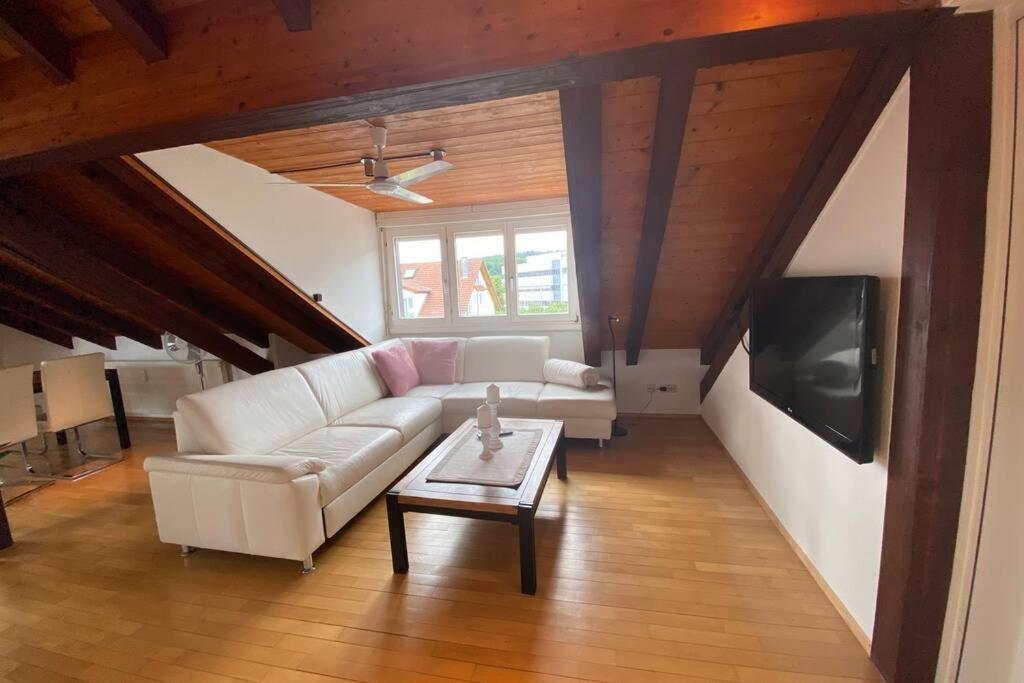 *Dreilaendereck* Wifi+ Balkon+Garage Basel Mulhouse Apartment Maulburg Ngoại thất bức ảnh