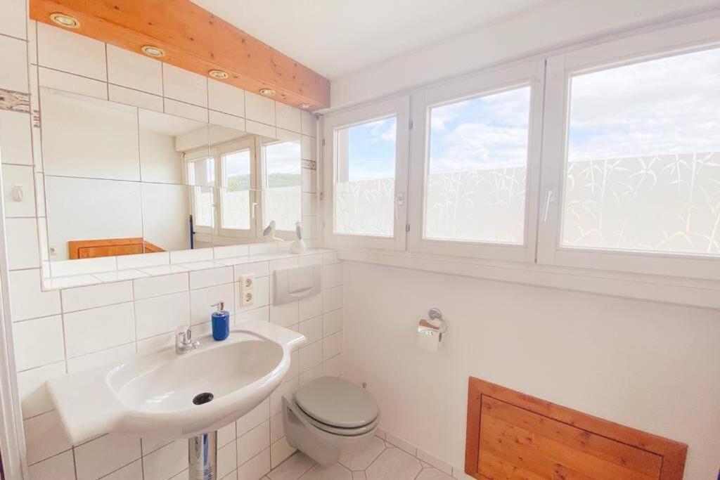 *Dreilaendereck* Wifi+ Balkon+Garage Basel Mulhouse Apartment Maulburg Ngoại thất bức ảnh